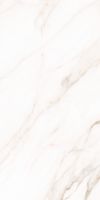 Classy Warm White Matte 24 x 48